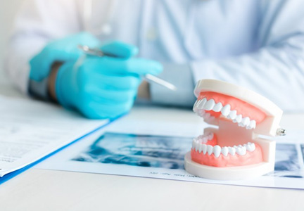 Dentist sitting at desk with a dental model