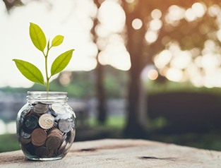 Pequeña planta que crece de un frasco de monedas