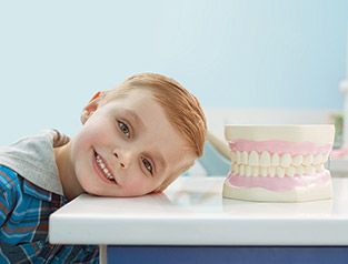 kid smiling by model teeth